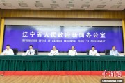桐城辽宁平安建设成效显著 2025年聚焦五大重点任务