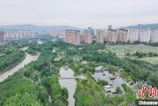 桐城西宁市举办六五环境日主题宣传活动